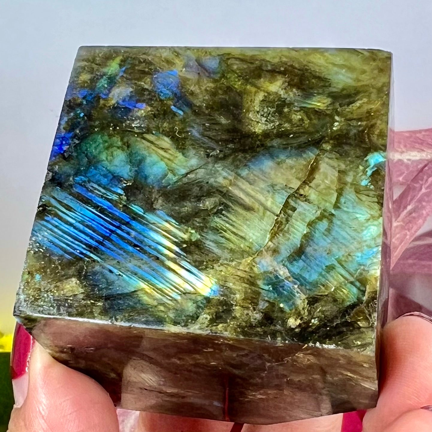 1566 JEANS COLOMBIANO CARISMA